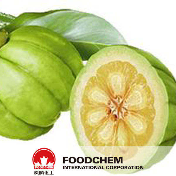 Garcinia Cambogia Extract suppliers